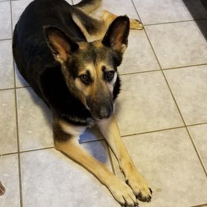 Meet your Posher, Lori